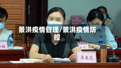 景洪疫情管理/景洪疫情防控-第2张图片