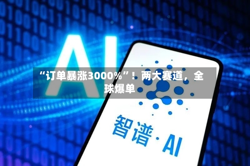 “订单暴涨3000%”！两大赛道	，全球爆单-第3张图片