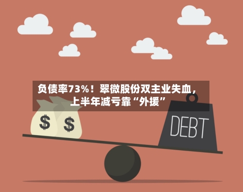 负债率73%！翠微股份双主业失血	，上半年减亏靠“外援”-第3张图片