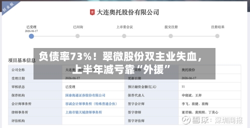 负债率73%！翠微股份双主业失血，上半年减亏靠“外援	”-第2张图片