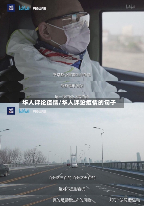 华人评论疫情/华人评论疫情的句子-第2张图片