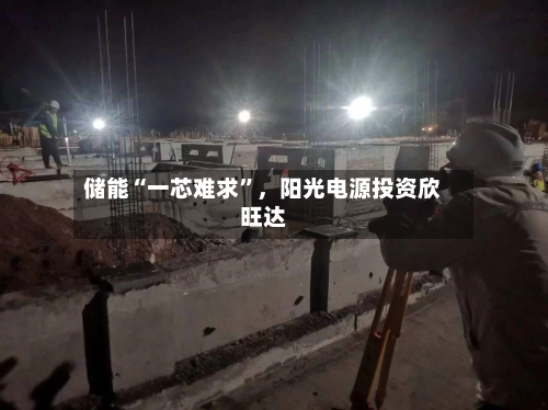 储能“一芯难求	”，阳光电源投资欣旺达-第2张图片