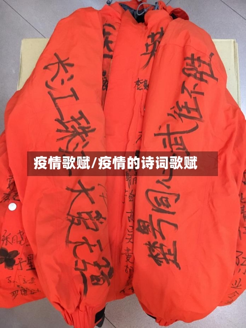 疫情歌赋/疫情的诗词歌赋