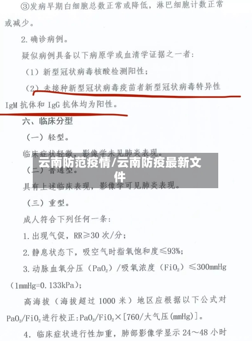 云南防范疫情/云南防疫最新文件-第3张图片
