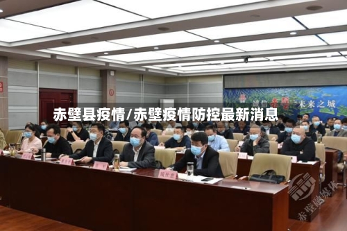 赤壁县疫情/赤壁疫情防控最新消息-第2张图片
