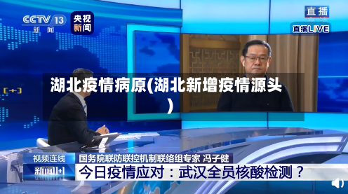 湖北疫情病原(湖北新增疫情源头)-第2张图片