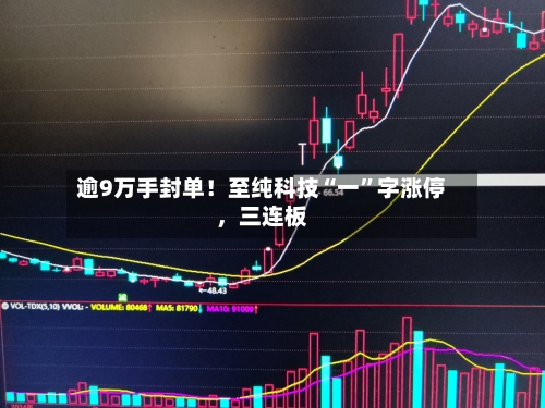 逾9万手封单！至纯科技“一”字涨停，三连板-第2张图片