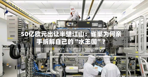 50亿欧元出让半壁江山：雀巢为何亲手拆解自己的“水王国”？-第2张图片
