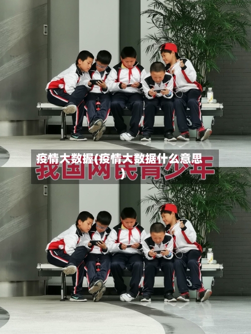 疫情大数握(疫情大数据什么意思)