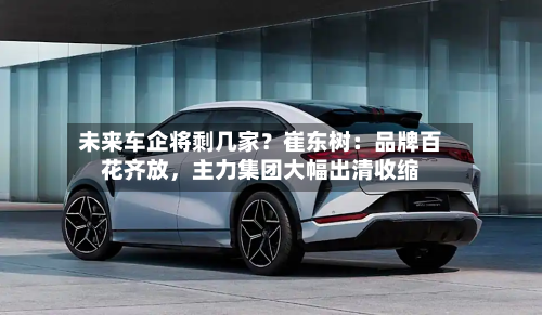未来车企将剩几家？崔东树：品牌百花齐放，主力集团大幅出清收缩-第3张图片