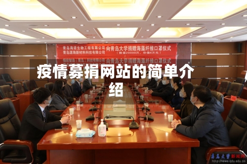 疫情募捐网站的简单介绍-第2张图片