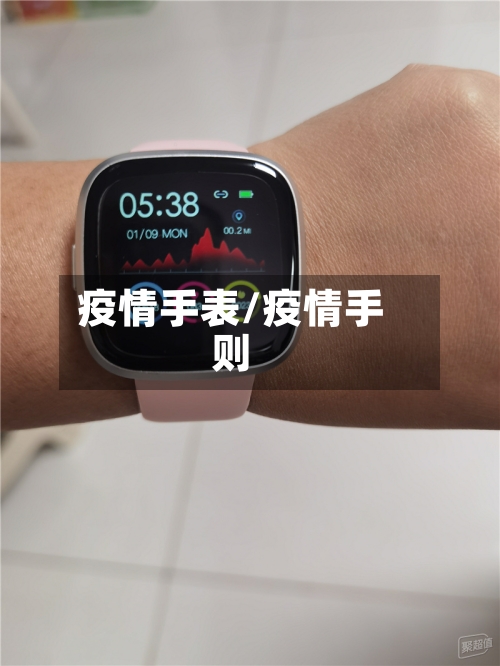 疫情手表/疫情手则