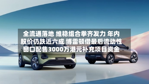 全流通落地 维稳组合拳齐发力 年内股价仍跌近六成 博雷顿借最后流动性窗口配售3000万港元补充项目资金-第3张图片