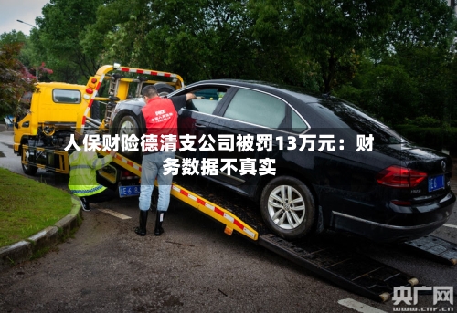 人保财险德清支公司被罚13万元：财务数据不真实