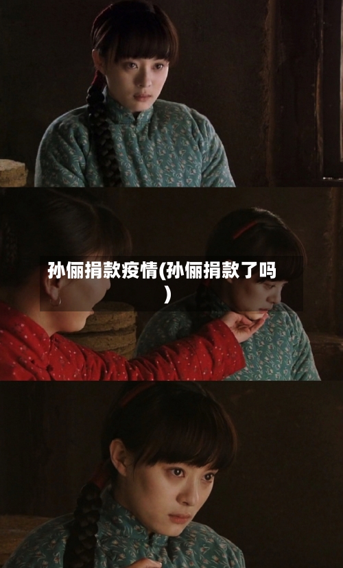 孙俪捐款疫情(孙俪捐款了吗)-第2张图片