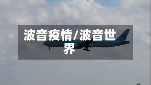 波音疫情/波音世界
