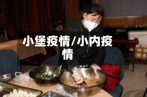 小堡疫情/小内疫情