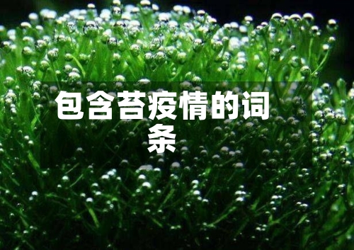 包含苔疫情的词条-第2张图片
