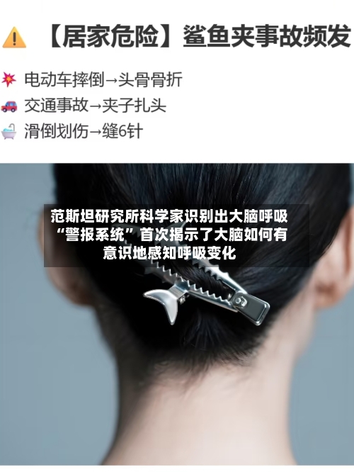 范斯坦研究所科学家识别出大脑呼吸“警报系统	” 首次揭示了大脑如何有意识地感知呼吸变化-第2张图片