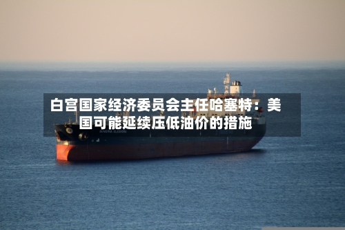 白宫国家经济委员会主任哈塞特：美国可能延续压低油价的措施