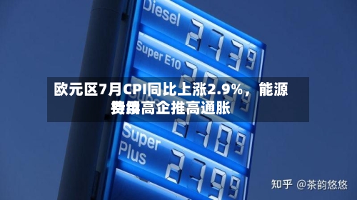 欧元区7月CPI同比上涨2.9%，能源费用持续高企推高通胀-第2张图片