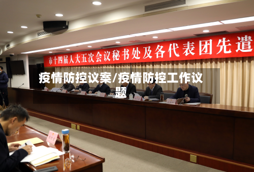 疫情防控议案/疫情防控工作议题