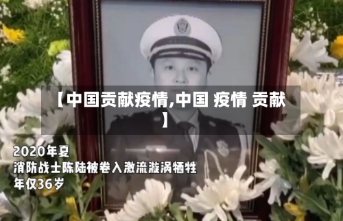 【中国贡献疫情,中国 疫情 贡献】
