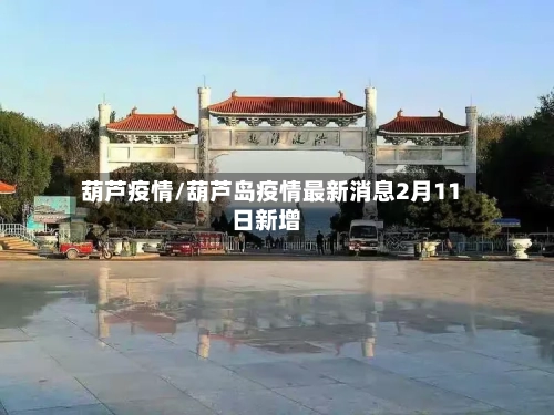 葫芦疫情/葫芦岛疫情最新消息2月11日新增-第2张图片