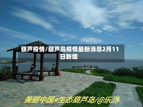 葫芦疫情/葫芦岛疫情最新消息2月11日新增