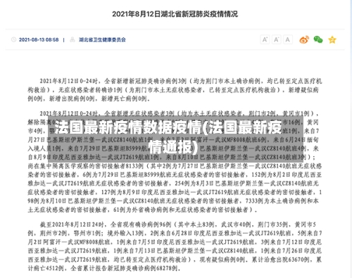 法国最新疫情数据疫情(法国最新疫情通报)-第2张图片