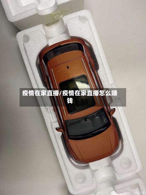 疫情在家直播/疫情在家直播怎么赚钱-第2张图片
