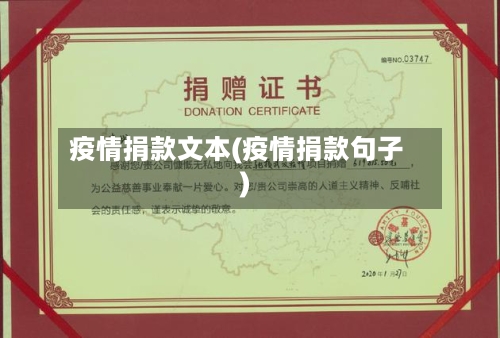 疫情捐款文本(疫情捐款句子)