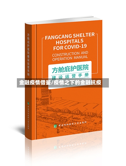 金融疫情借鉴/疫情之下的金融抗疫