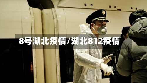 8号湖北疫情/湖北812疫情