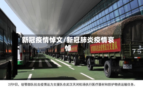 新冠疫情悼文/新冠肺炎疫情哀悼-第2张图片