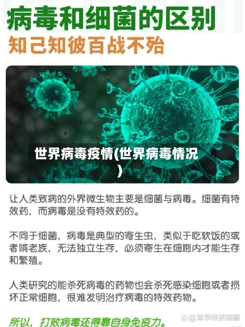 世界病毒疫情(世界病毒情况)-第3张图片