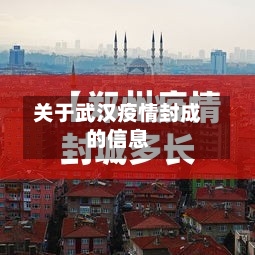 关于武汉疫情封成的信息