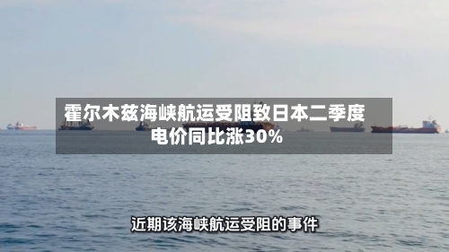 霍尔木兹海峡航运受阻致日本二季度电价同比涨30%
