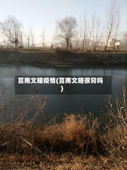 莒南文疃疫情(莒南文疃很穷吗)