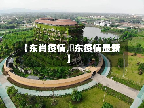 【东肖疫情,恵东疫情最新】-第2张图片
