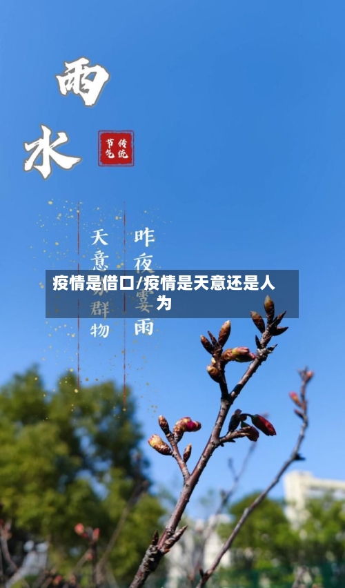 疫情是借口/疫情是天意还是人为