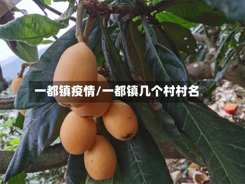 一都镇疫情/一都镇几个村村名-第3张图片