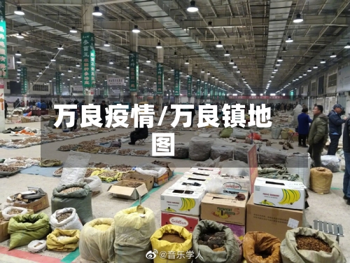 万良疫情/万良镇地图