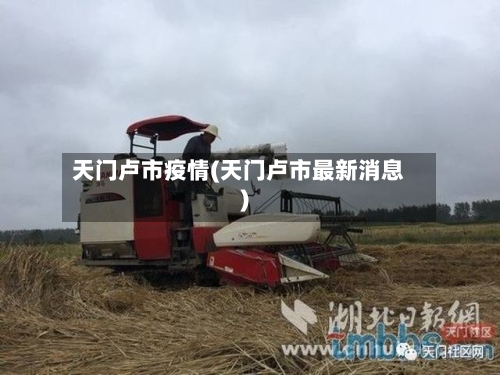 天门卢市疫情(天门卢市最新消息)