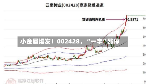 小金属爆发！002428，“一字”涨停-第2张图片
