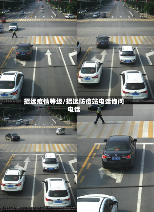 招远疫情等级/招远防疫站电话询问电话-第2张图片