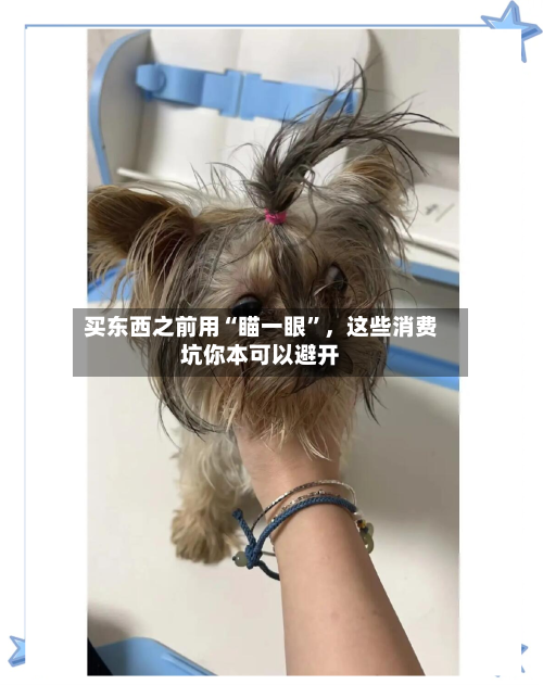 买东西之前用“瞄一眼”，这些消费坑你本可以避开