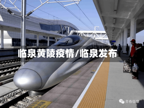 临泉黄陵疫情/临泉发布-第3张图片