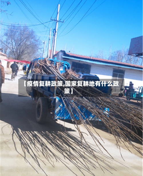 【疫情复耕政策,国家复耕地有什么政策】