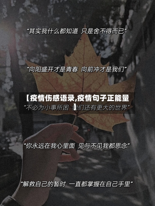 【疫情伤感语录,疫情句子正能量】-第3张图片